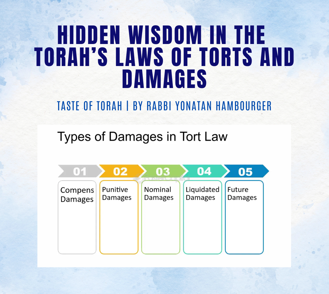 Hidden Wisdom in the Torah’s Laws of Torts and Damages