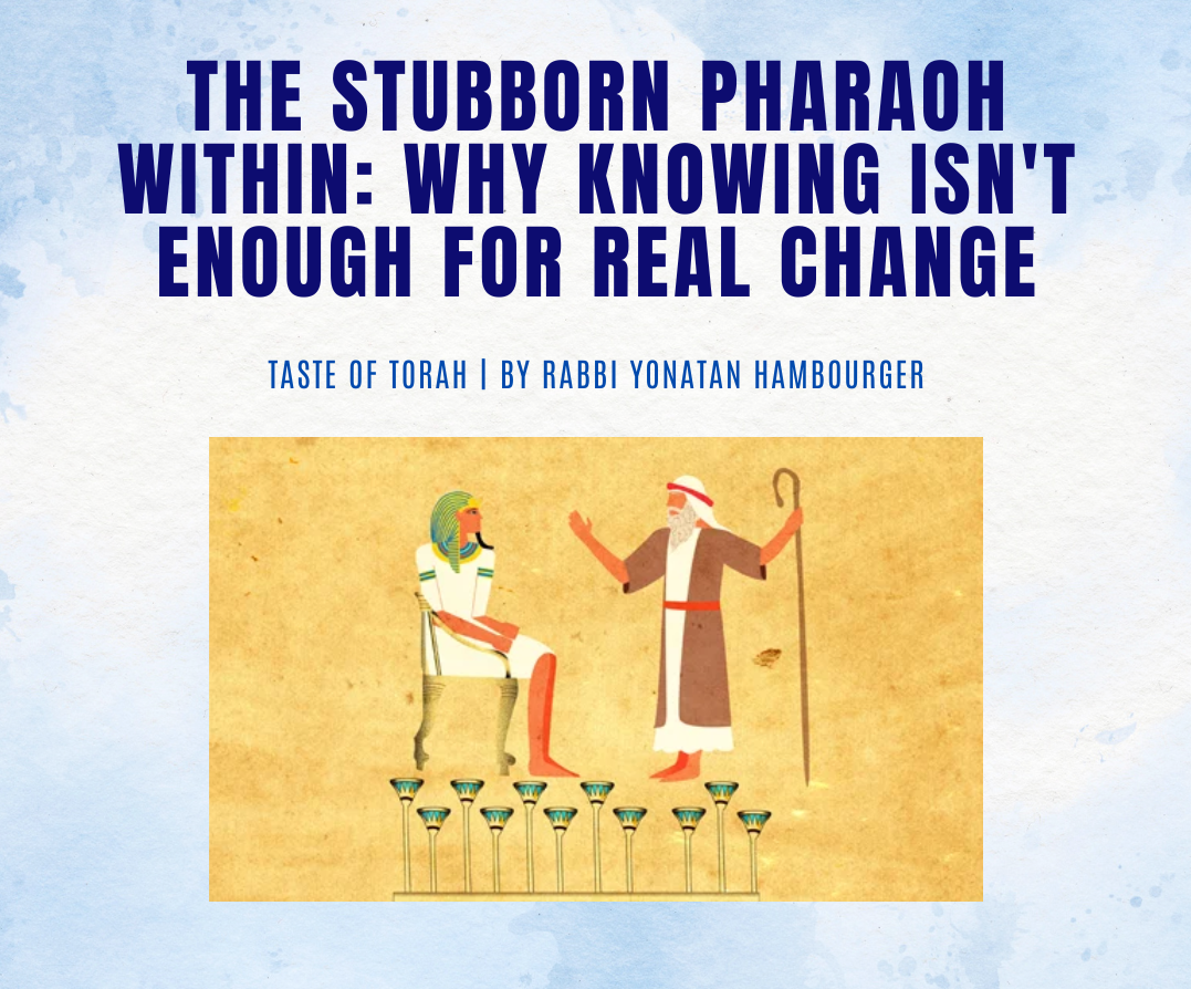 The Stubborn Pharaoh Within: Why Knowing Isn't Enough for Real Change