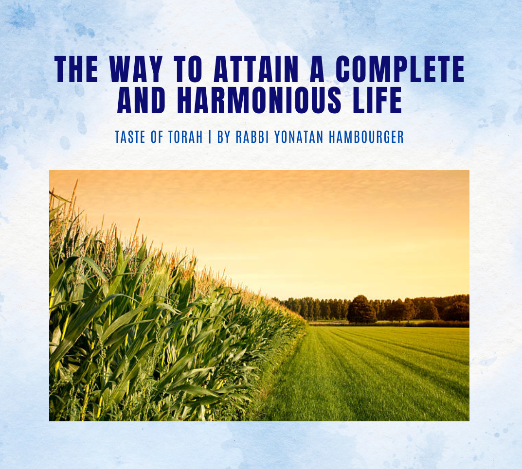 The Way to Attain a Complete and Harmonious Life