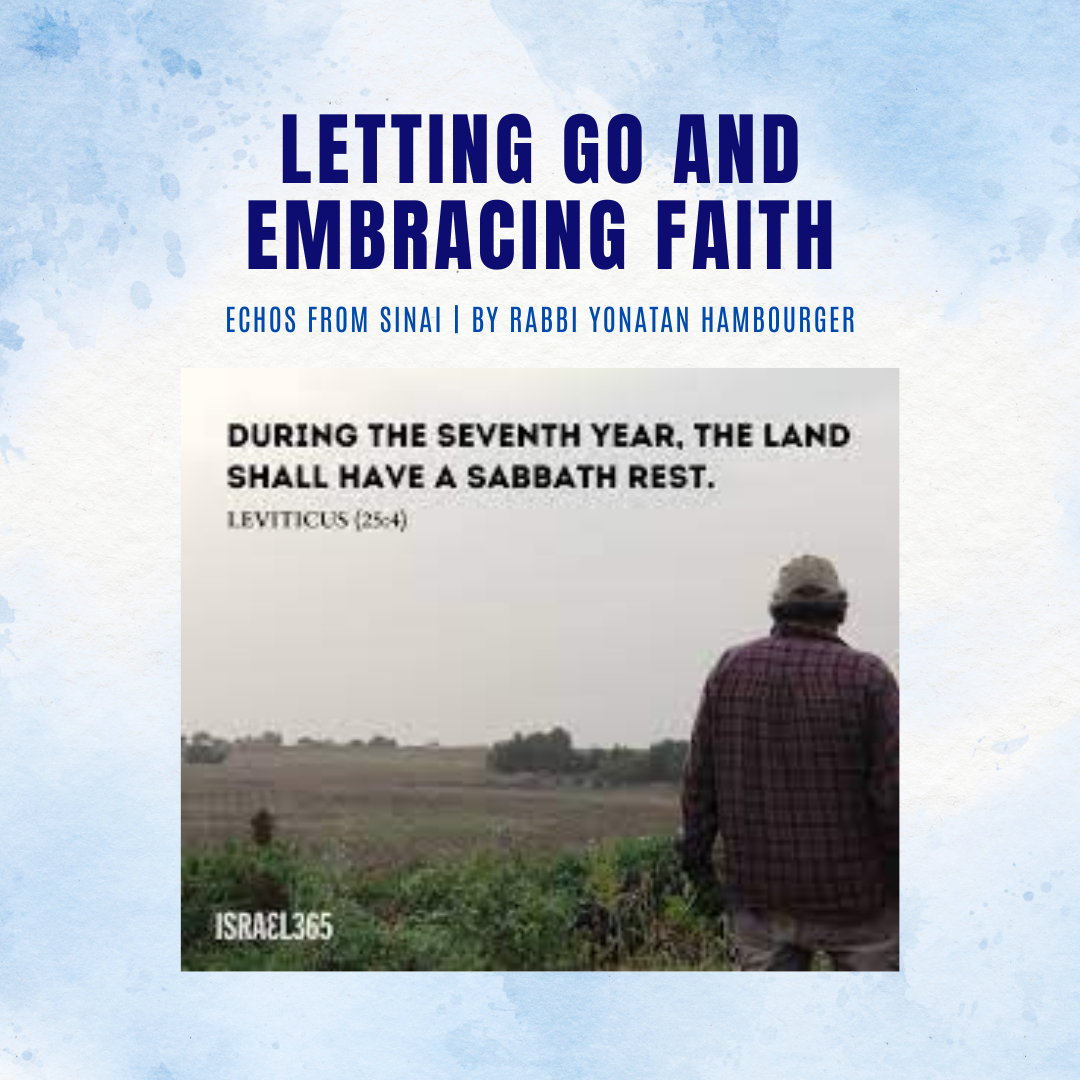 Letting Go and Embracing Faith