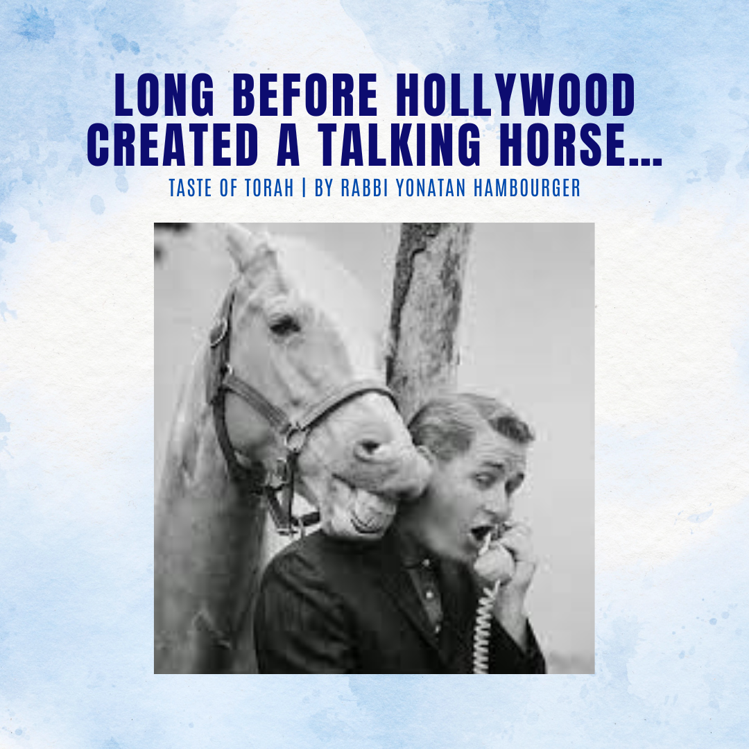 Long Before Hollywood Created a Talking Horse…