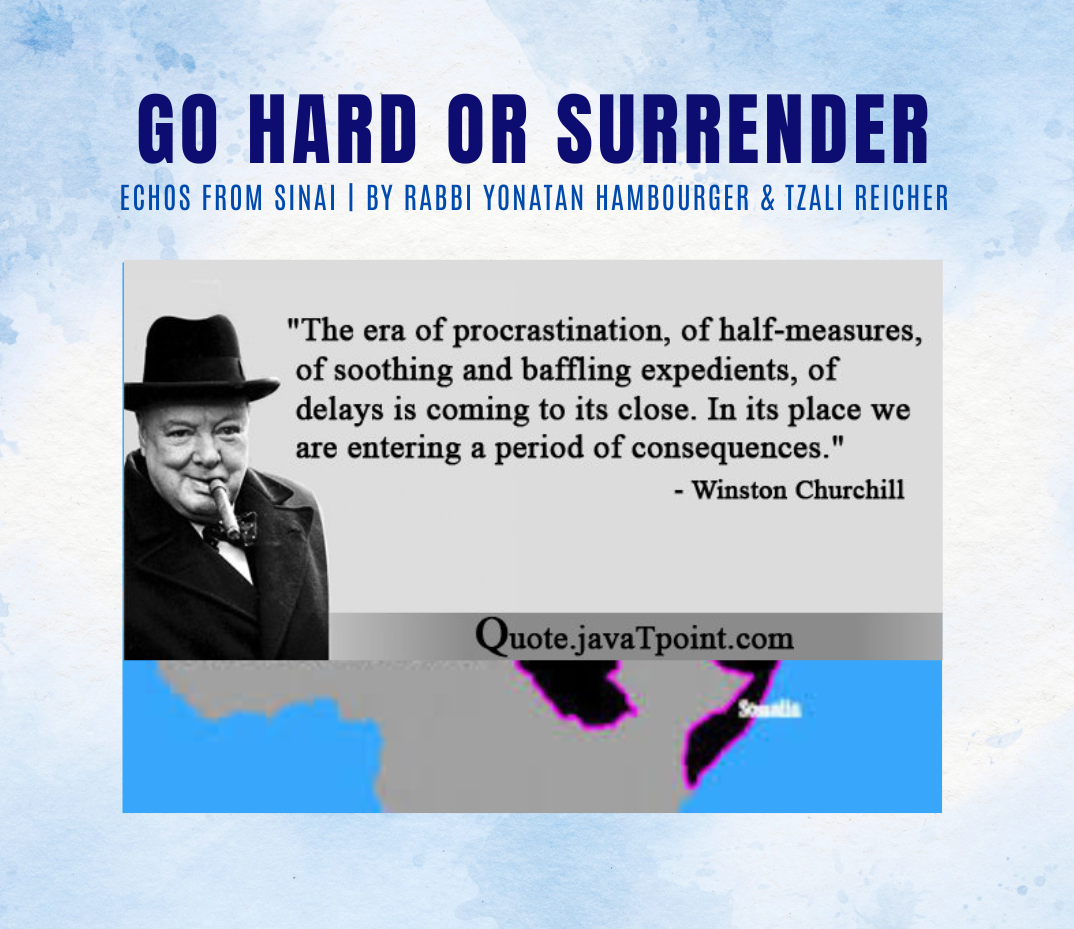 Go Hard or Surrender